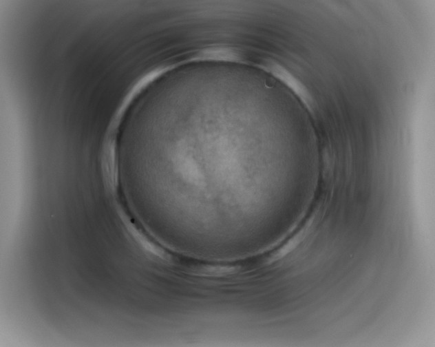 X0000114621123200910201127