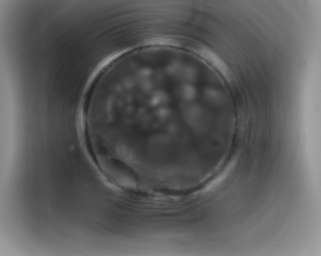 X0000114621125200910201127