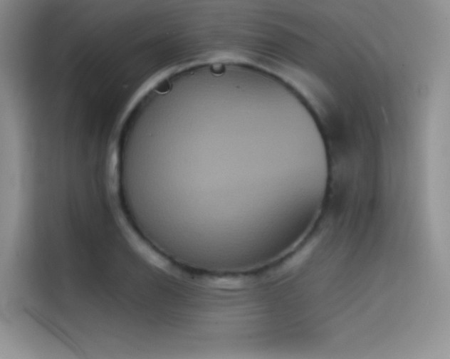 X0000114621126200910201127