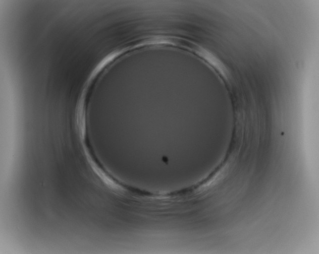 X0000114621127200910201127