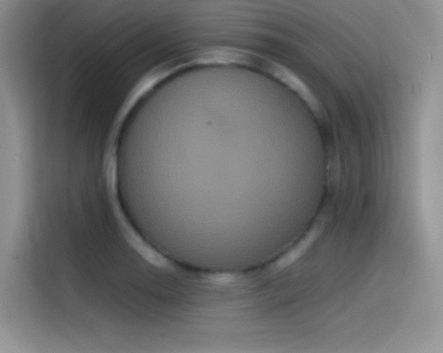 X0000114621130200910201127