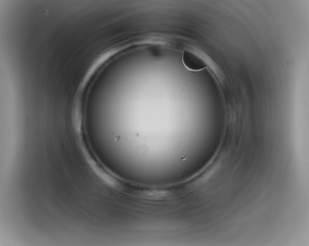 X0000114621131200910201127