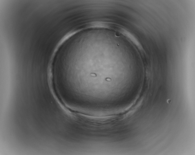 X0000114621133200910201127