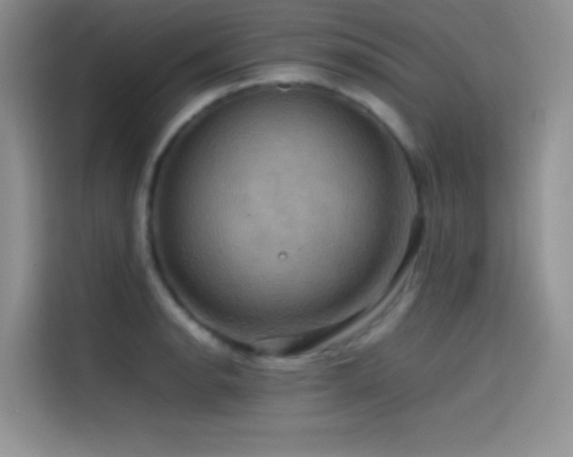 X0000114621134200910201127