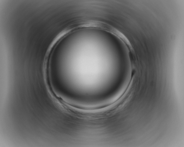 X0000114621138200910201127
