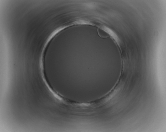 X0000114621141200910201127