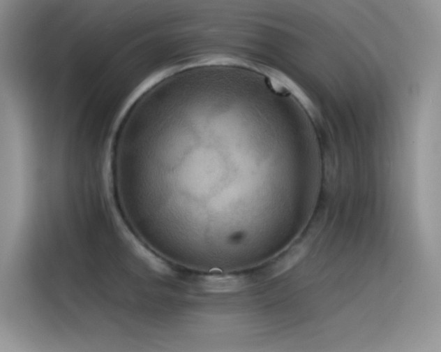 X0000114621142200910201127