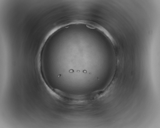 X0000114621143200910201127