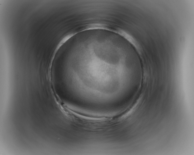 X0000114621145200910201127