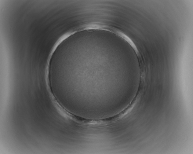 X0000114621146200910201127