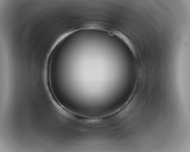 X0000114621147200910201127