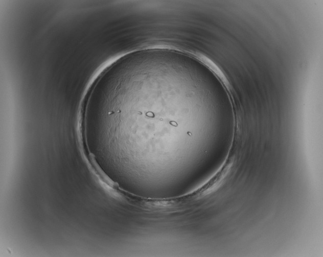X0000114621149200910201127