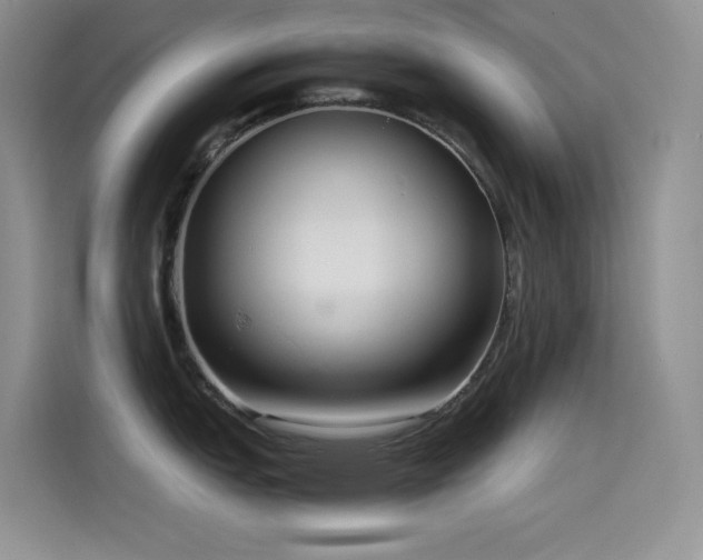 X0000114621151200910201127