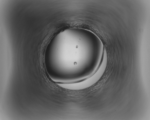 X0000114621153200910201127