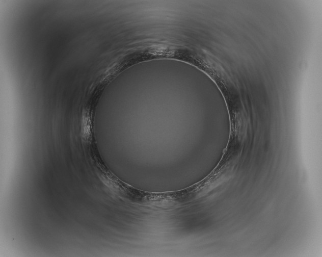 X0000114621154200910201127