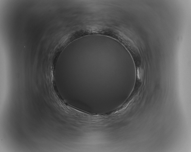X0000114621155200910201127