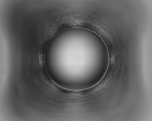 X0000114621156200910201127