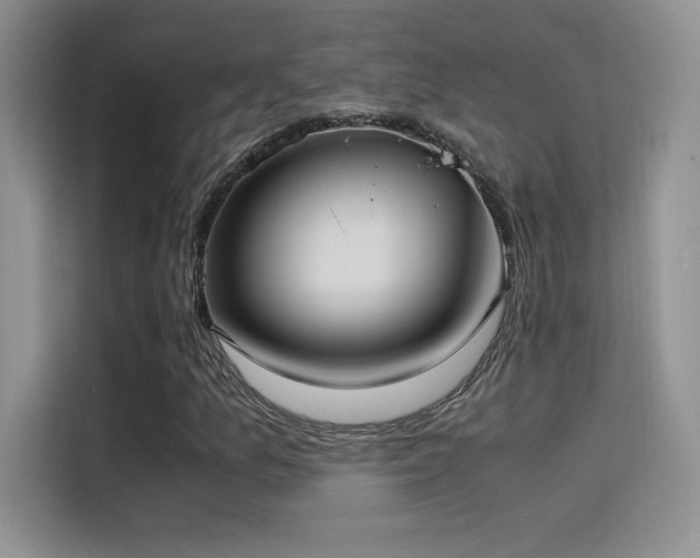 X0000114621157200910201127