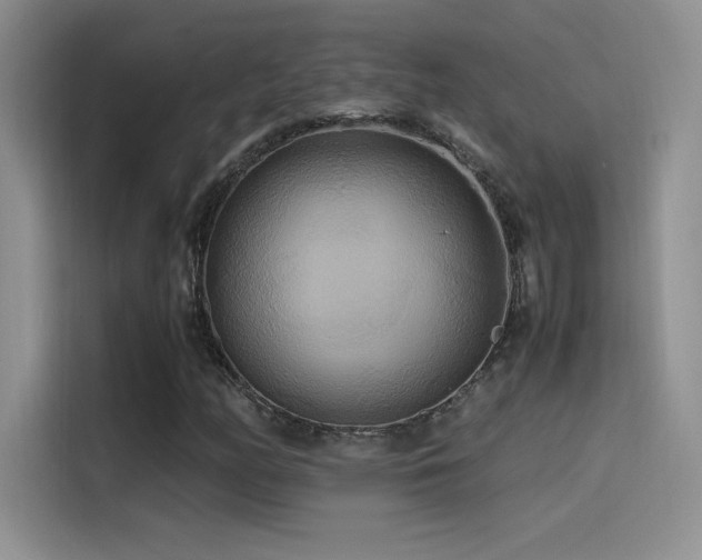X0000114621158200910201127
