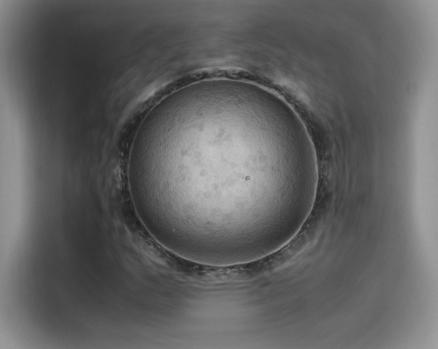 X0000114621159200910201127