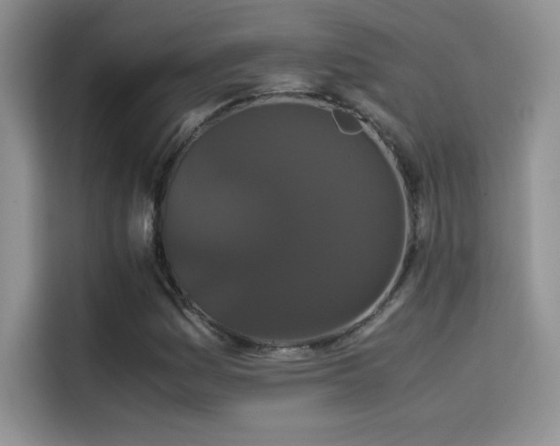 X0000114621161200910201127