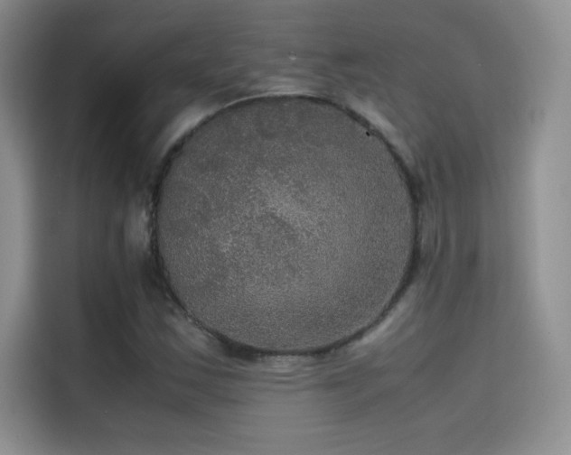 X0000114621163200910201127