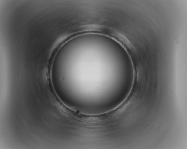 X0000114621164200910201127