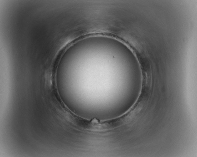 X0000114621165200910201127