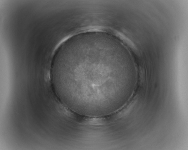 X0000114621166200910201127
