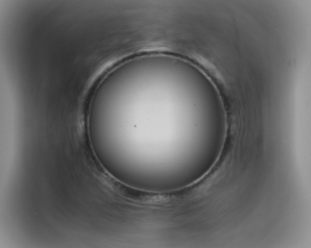 X0000114621167200910201127