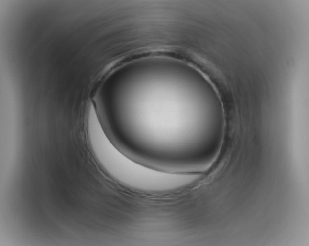 X0000114621169200910201127