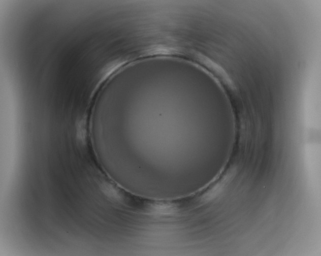 X0000114621170200910201127