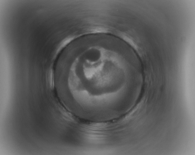 X0000114621171200910201126
