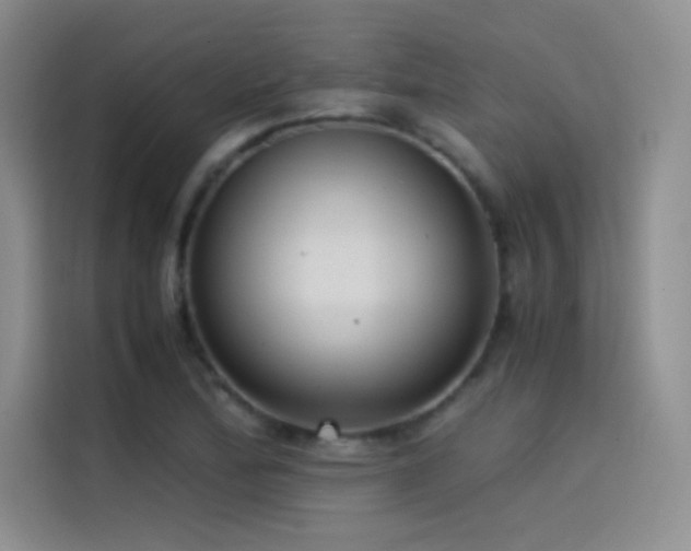 X0000114621172200910201126