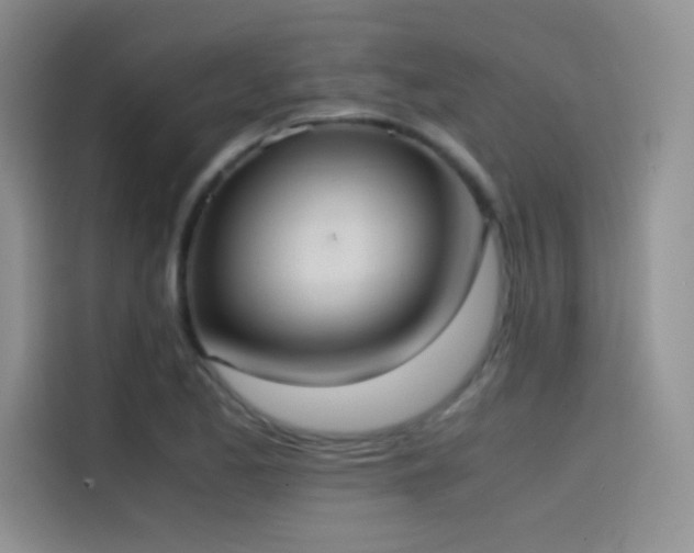X0000114621173200910201126