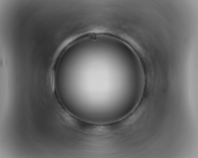 X0000114621175200910201126
