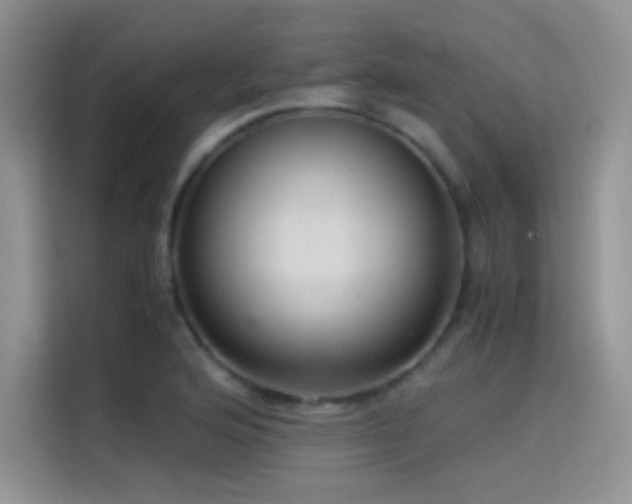 X0000114621176200910201126
