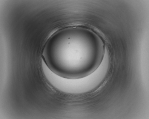 X0000114621177200910201126