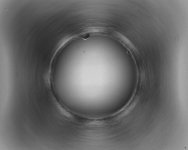 X0000114621178200910201126