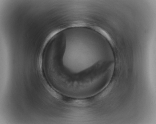 X0000114621179200910201126