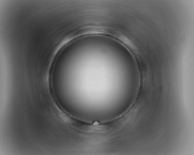 X0000114621181200910201126