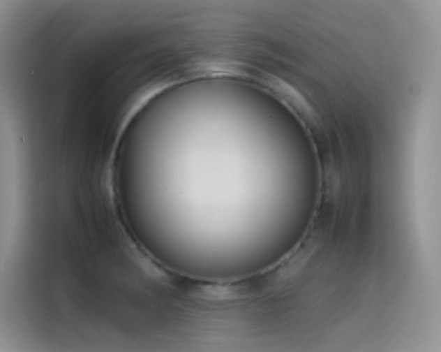 X0000114621182200910201126