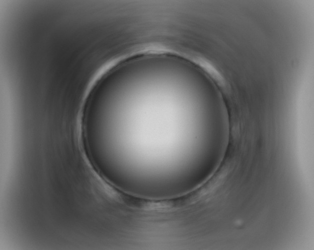 X0000114621183200910201126