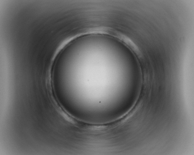 X0000114621184200910201126
