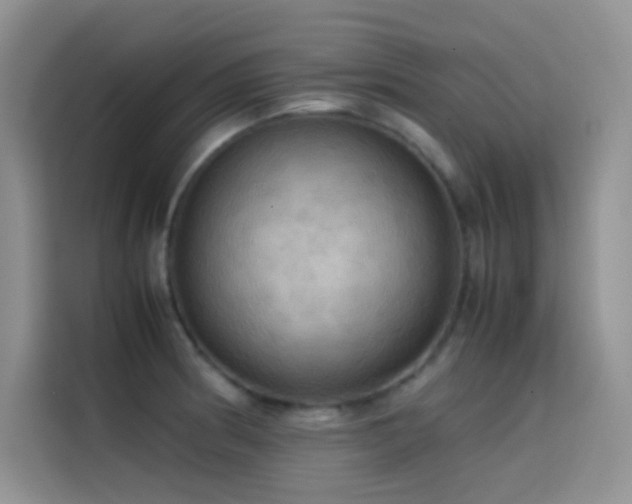 X0000114621186200910201126
