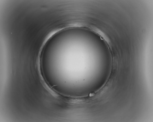 X0000114621187200910201126