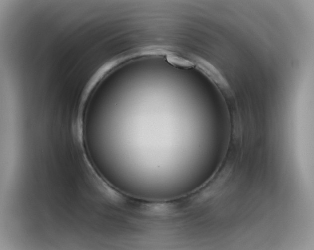 X0000114621188200910201126