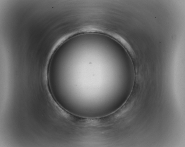 X0000114621191200910201126