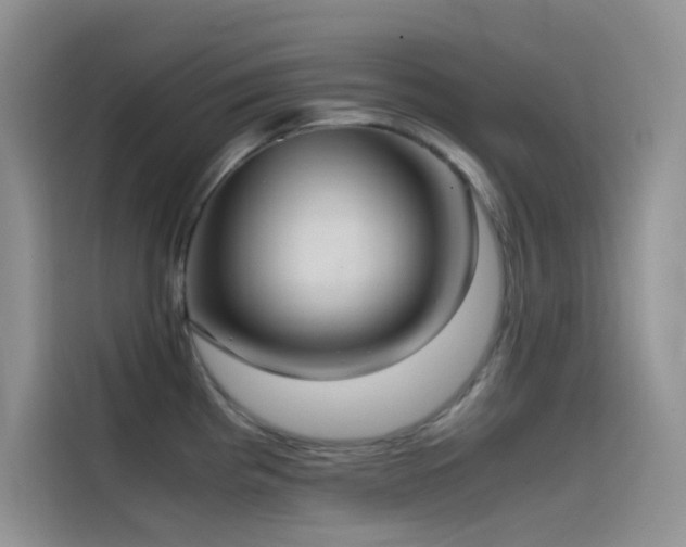X0000114621193200910201126