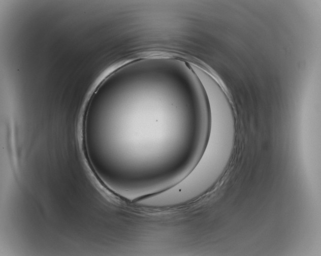 X0000114621195200910201126